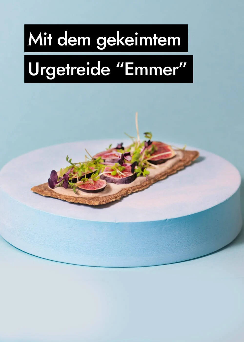 Vorschaubild 14
