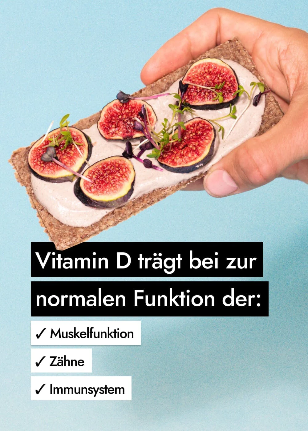 Vorschaubild 7