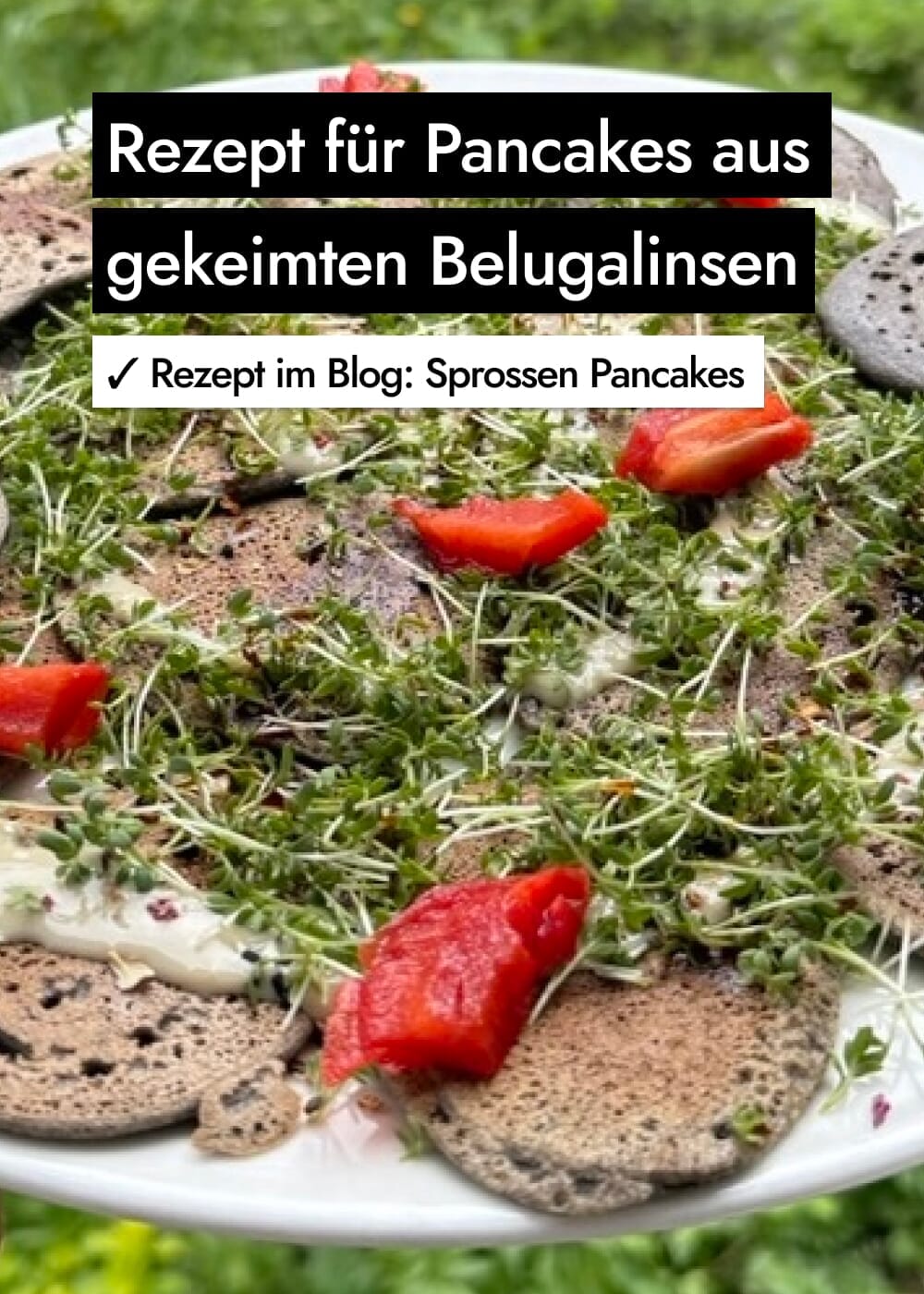 Vorschaubild 13