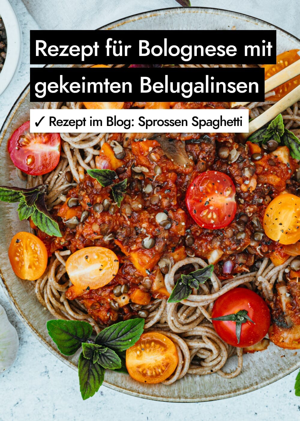 Vorschaubild 16