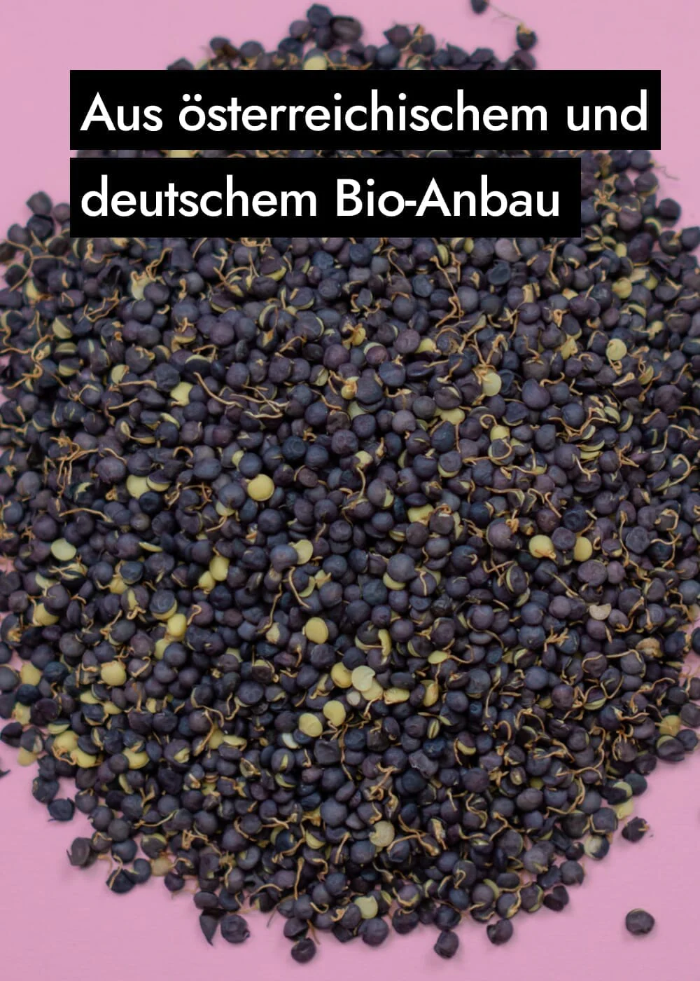 Vorschaubild 17