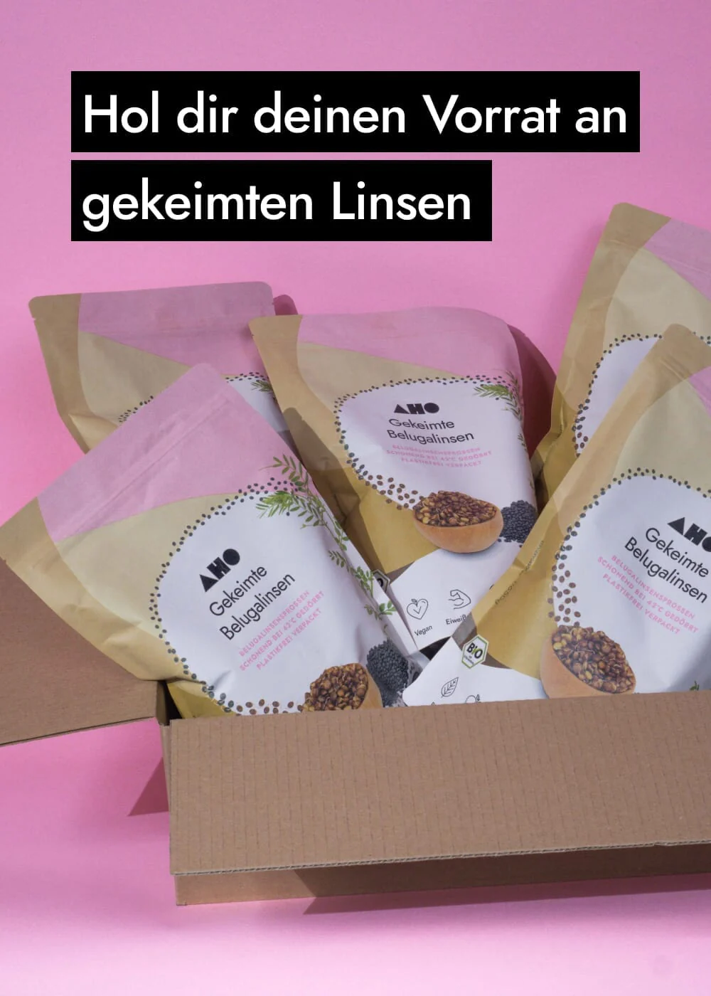 Vorschaubild 19