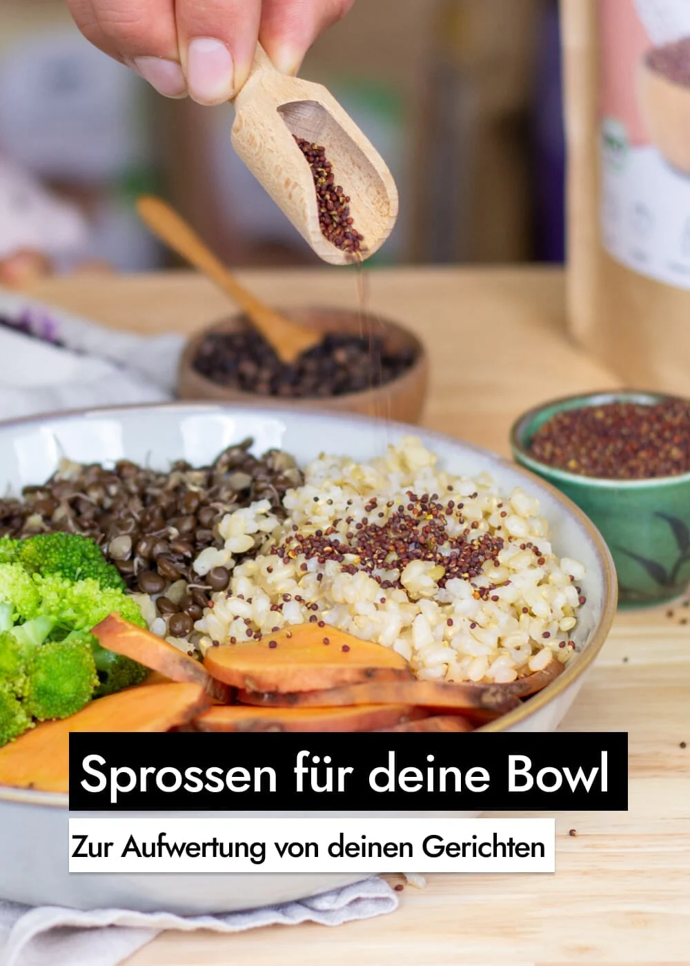 Vorschaubild 12