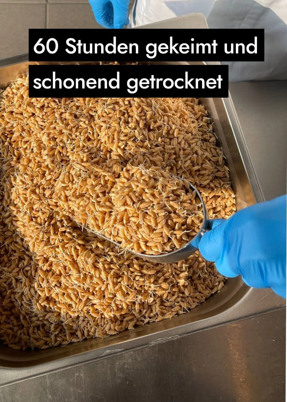 Vorschaubild 13
