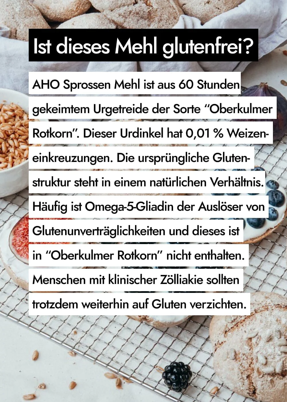 Vorschaubild 21