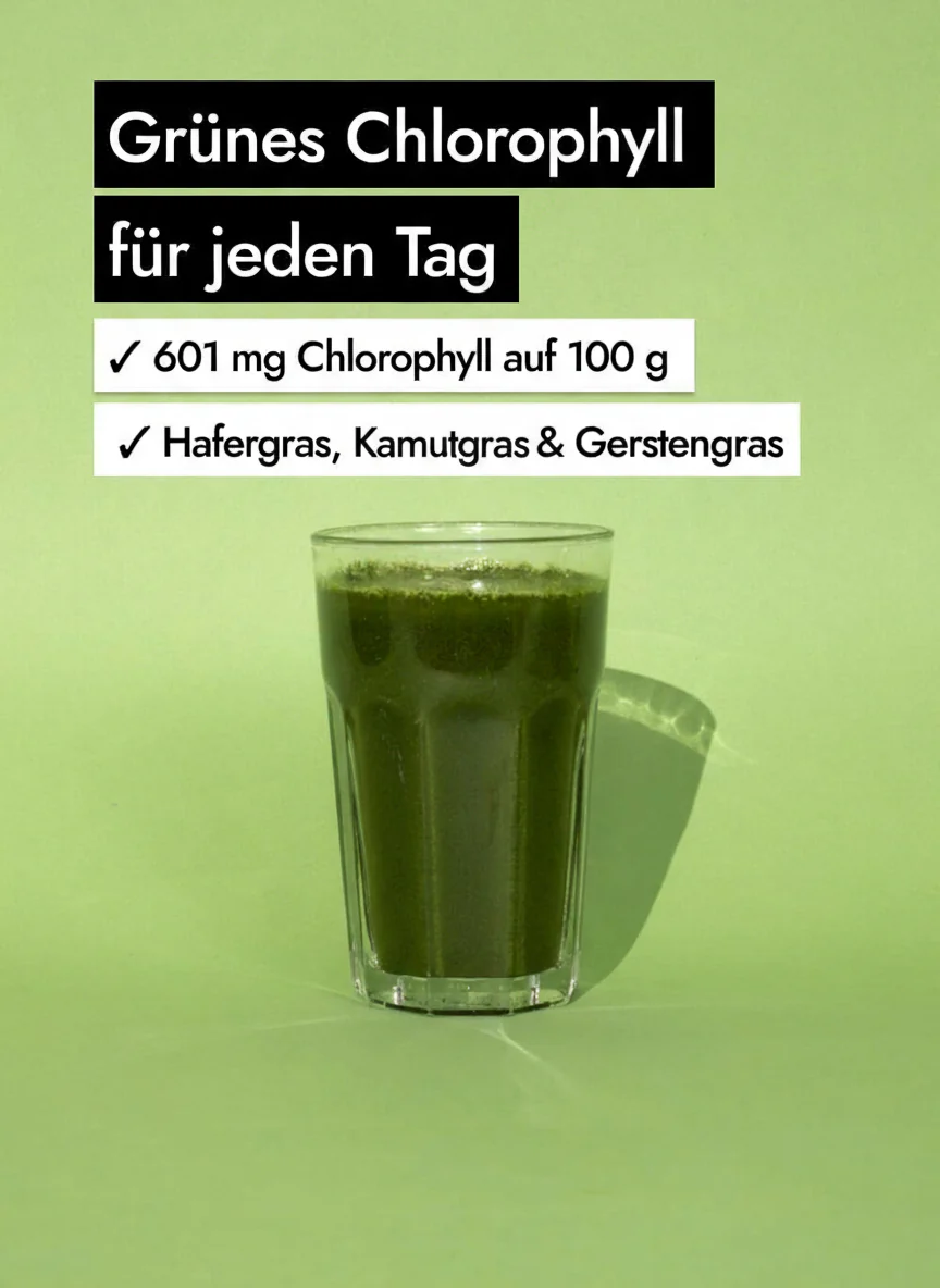 Vorschaubild 9