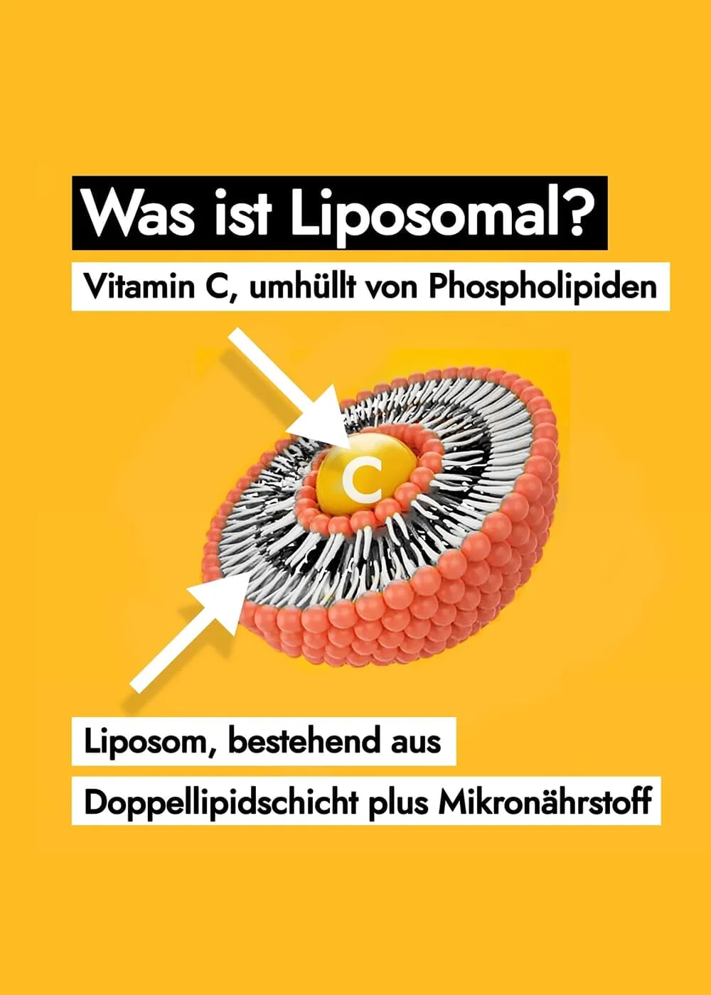 Vorschaubild 10