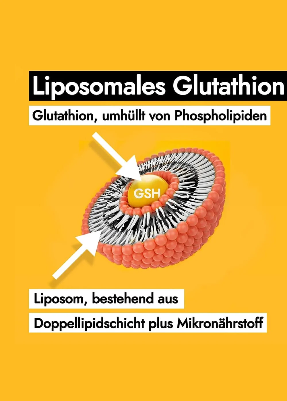 Vorschaubild 8