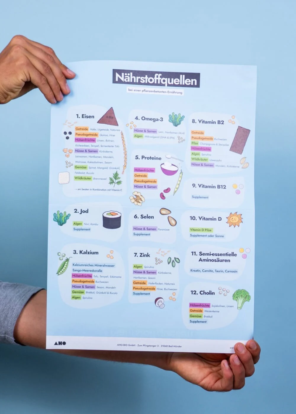Vorschaubild 1