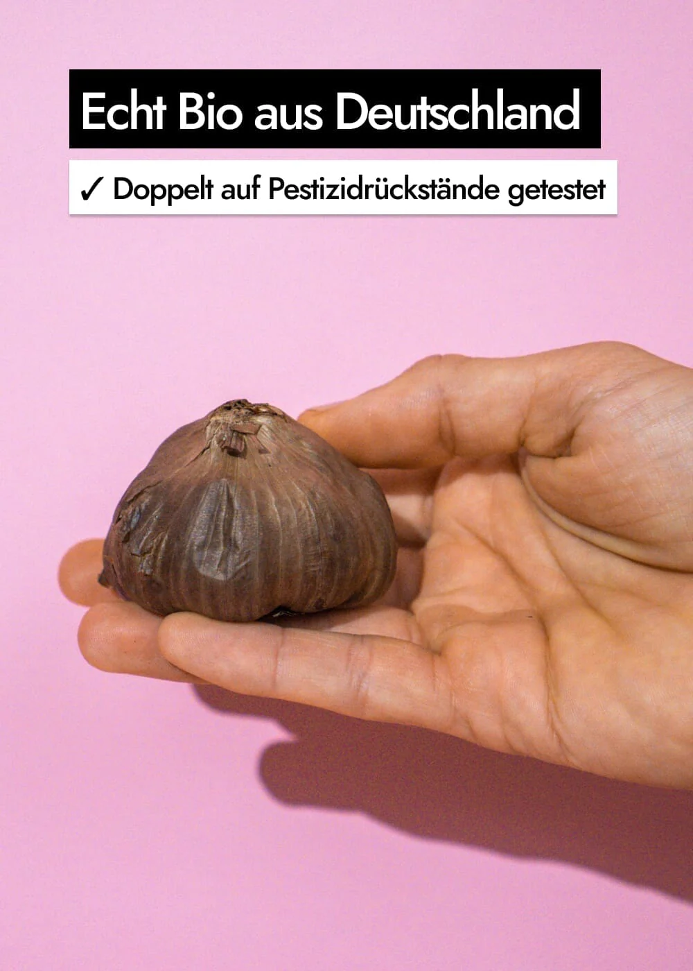 Vorschaubild 7