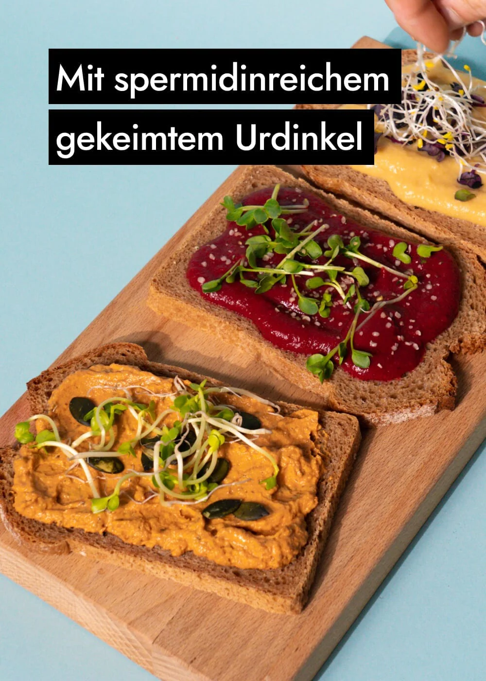 Vorschaubild 18