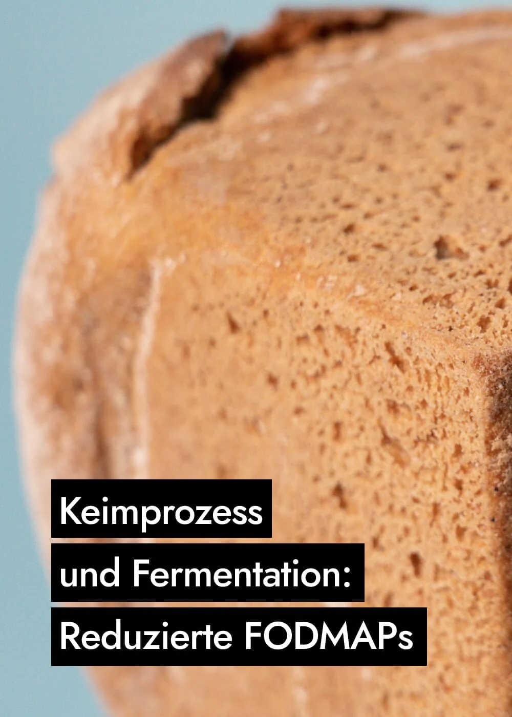 Vorschaubild 7