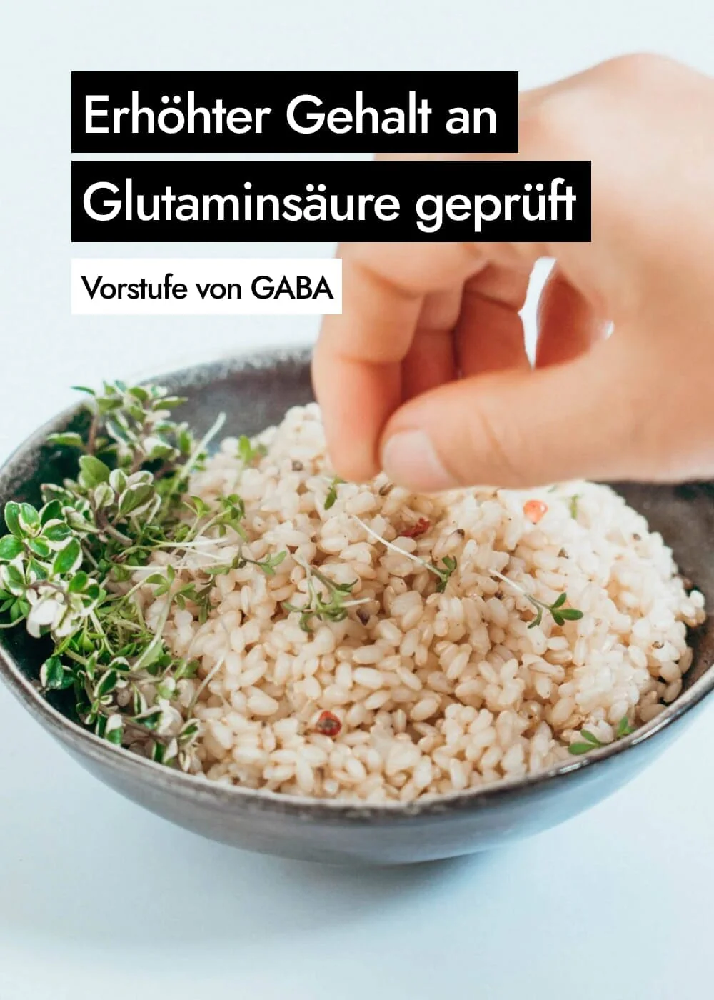 Vorschaubild 10