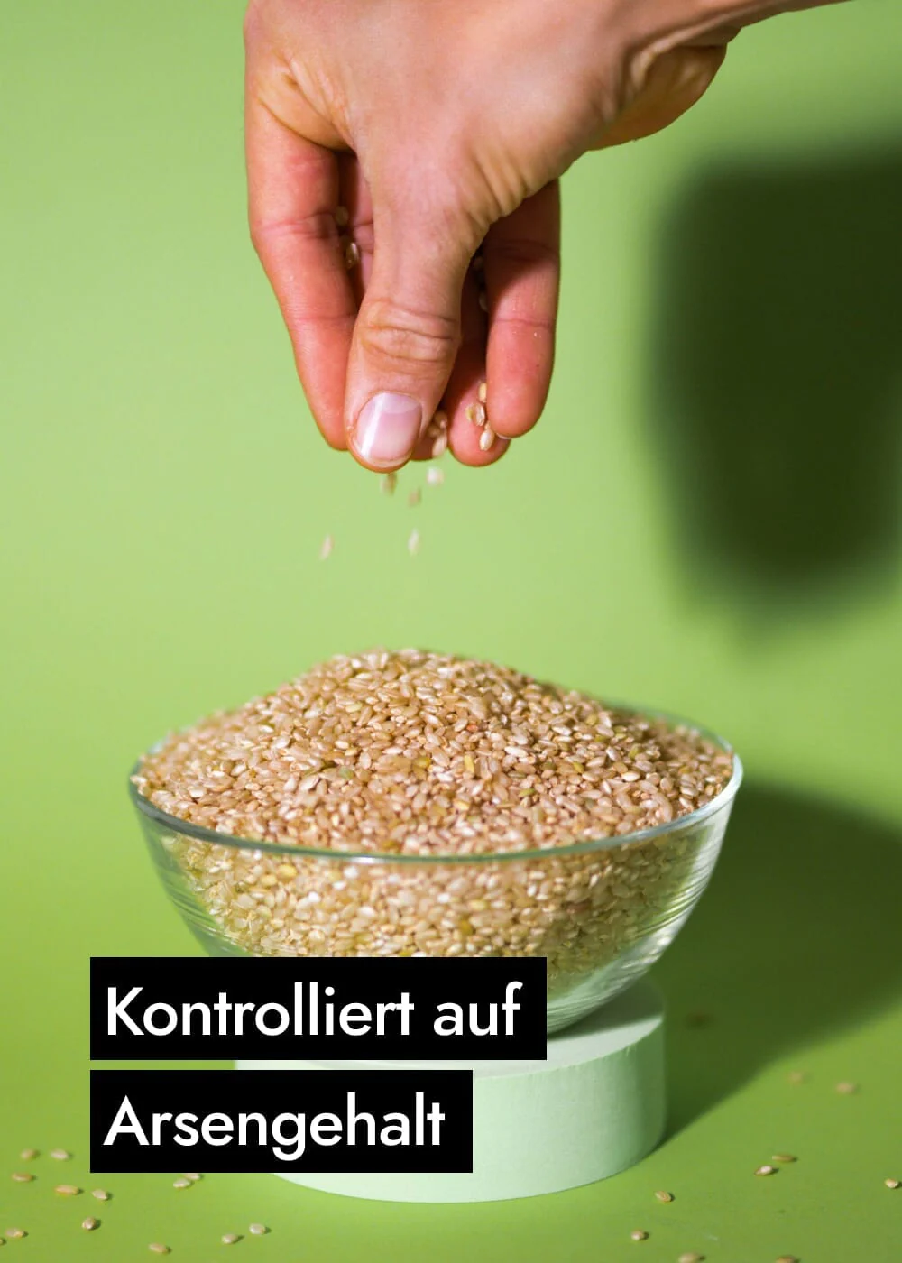 Vorschaubild 8