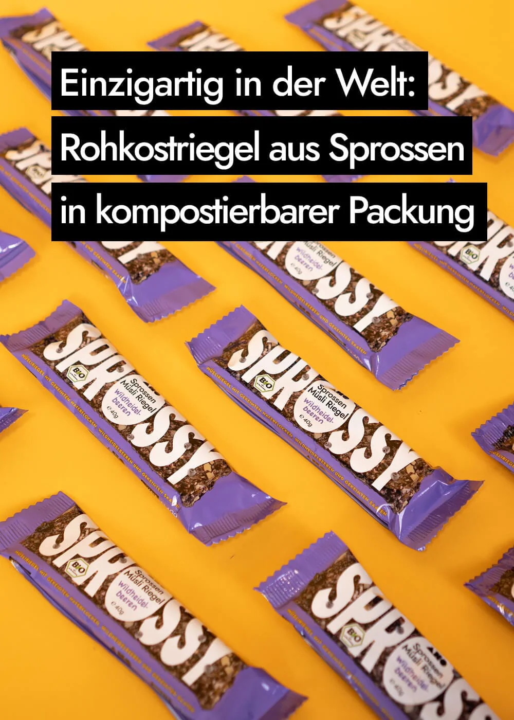 Vorschaubild 14