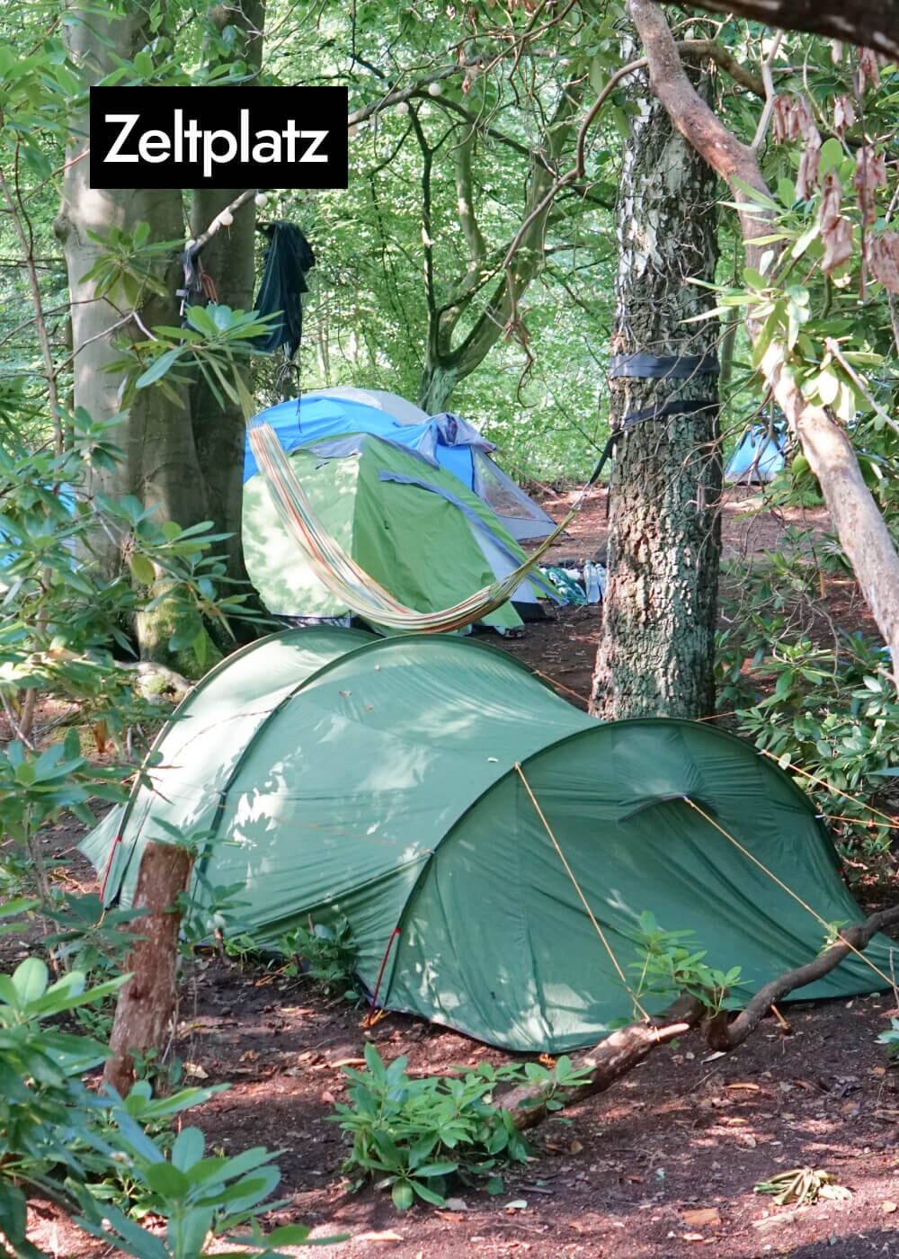Vorschaubild 5