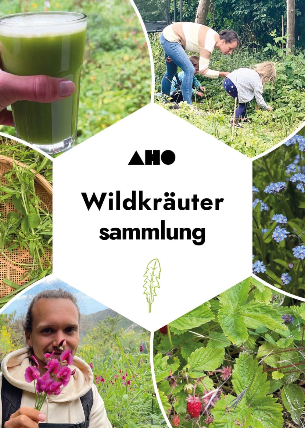 Vorschaubild 1
