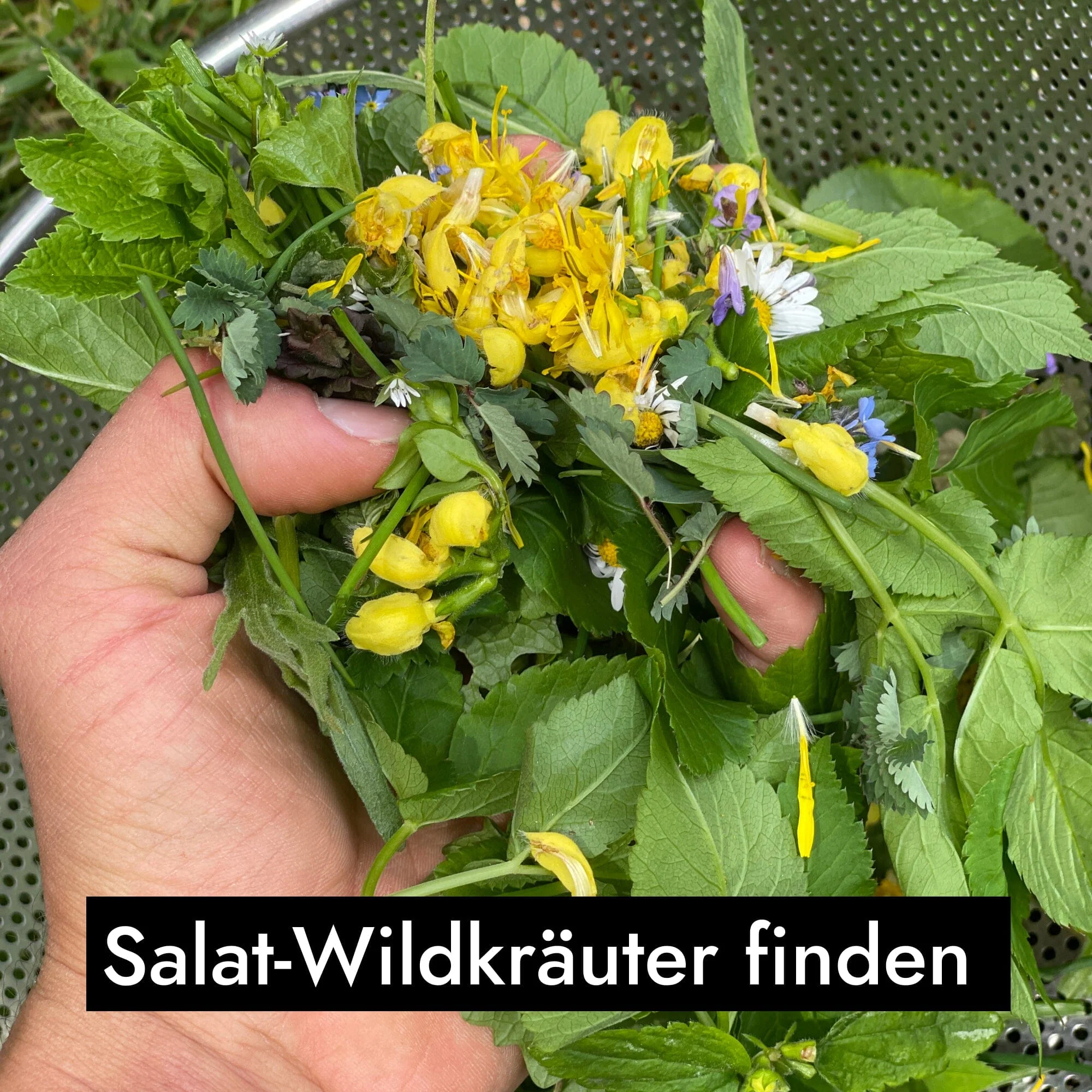 Vorschaubild 10