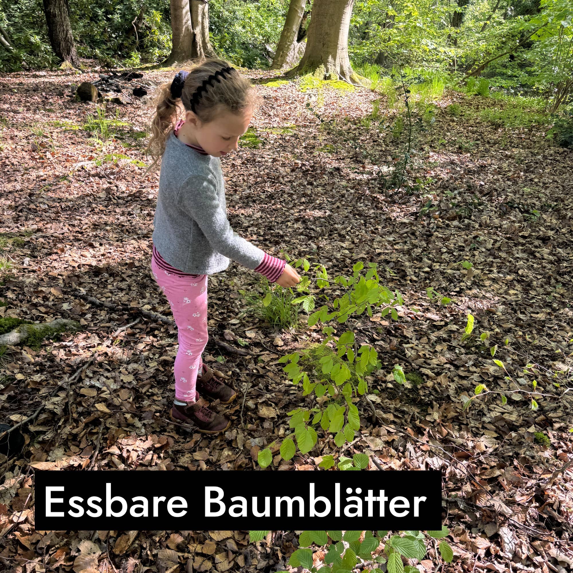 Vorschaubild 11