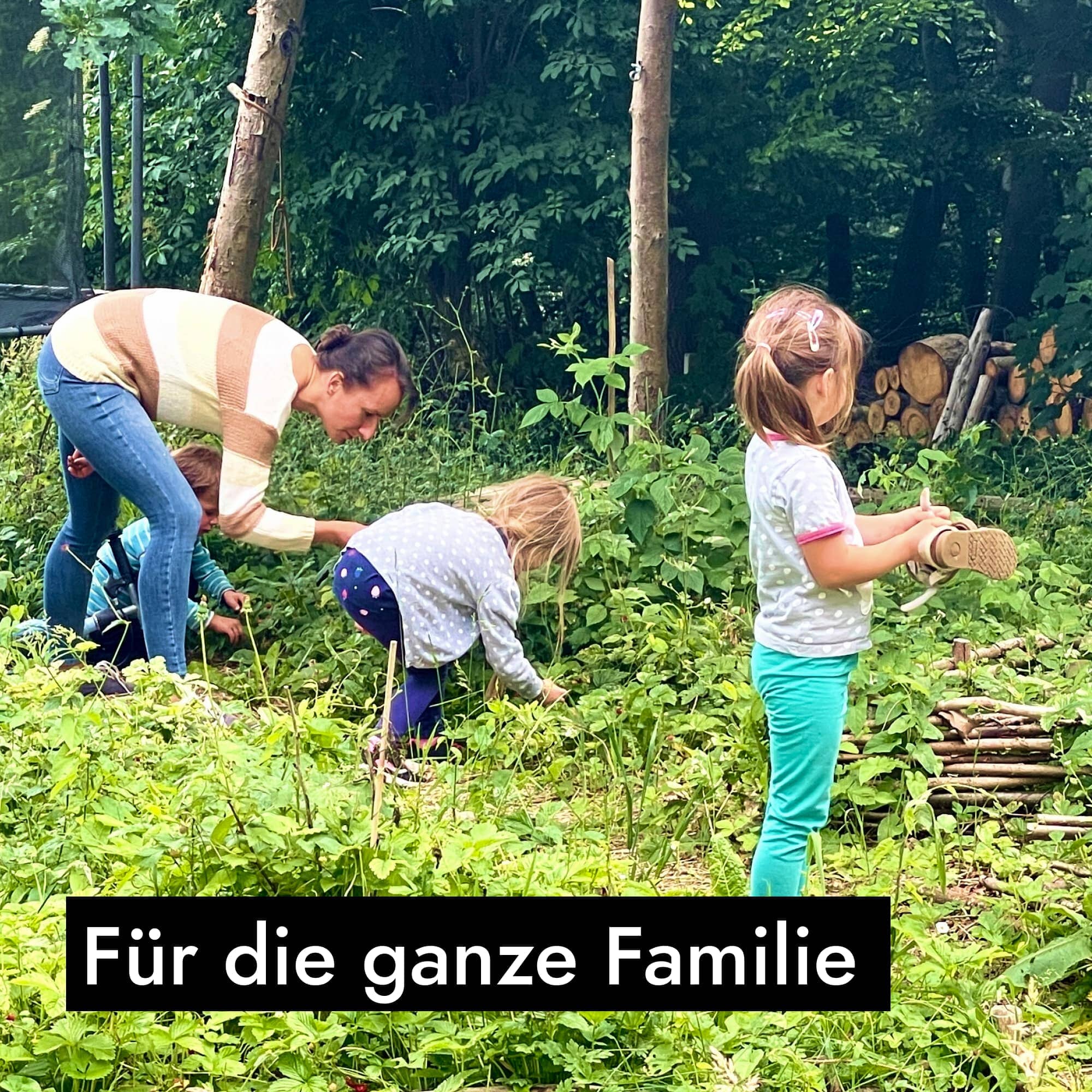 Vorschaubild 6