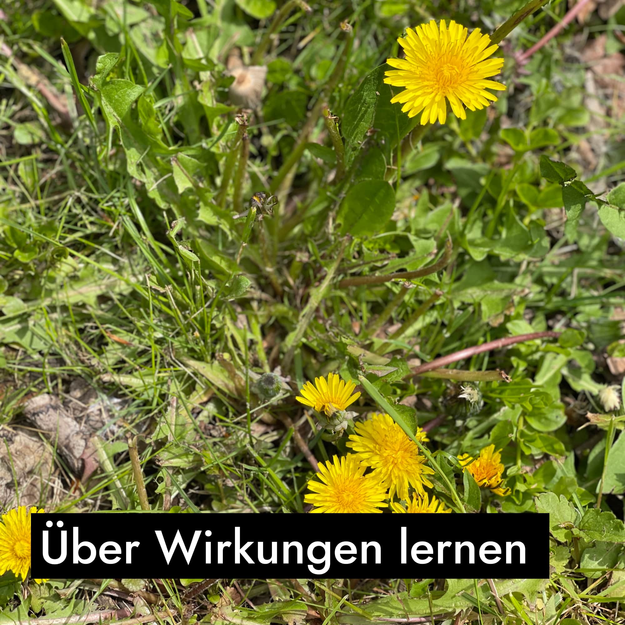 Vorschaubild 8