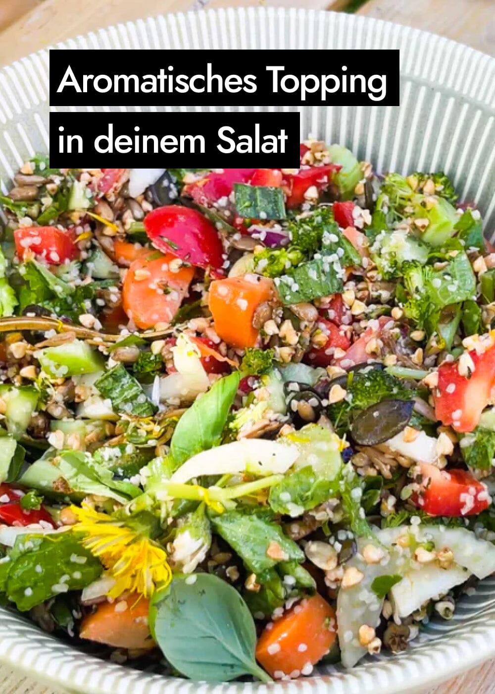 Vorschaubild 8