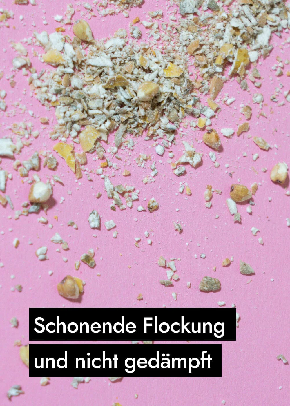 Vorschaubild 7