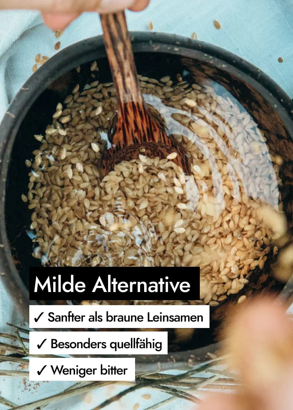 Vorschaubild 6