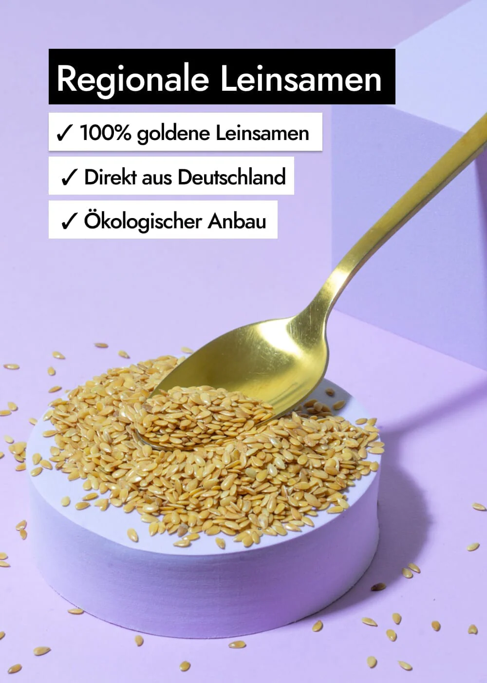 Vorschaubild 7