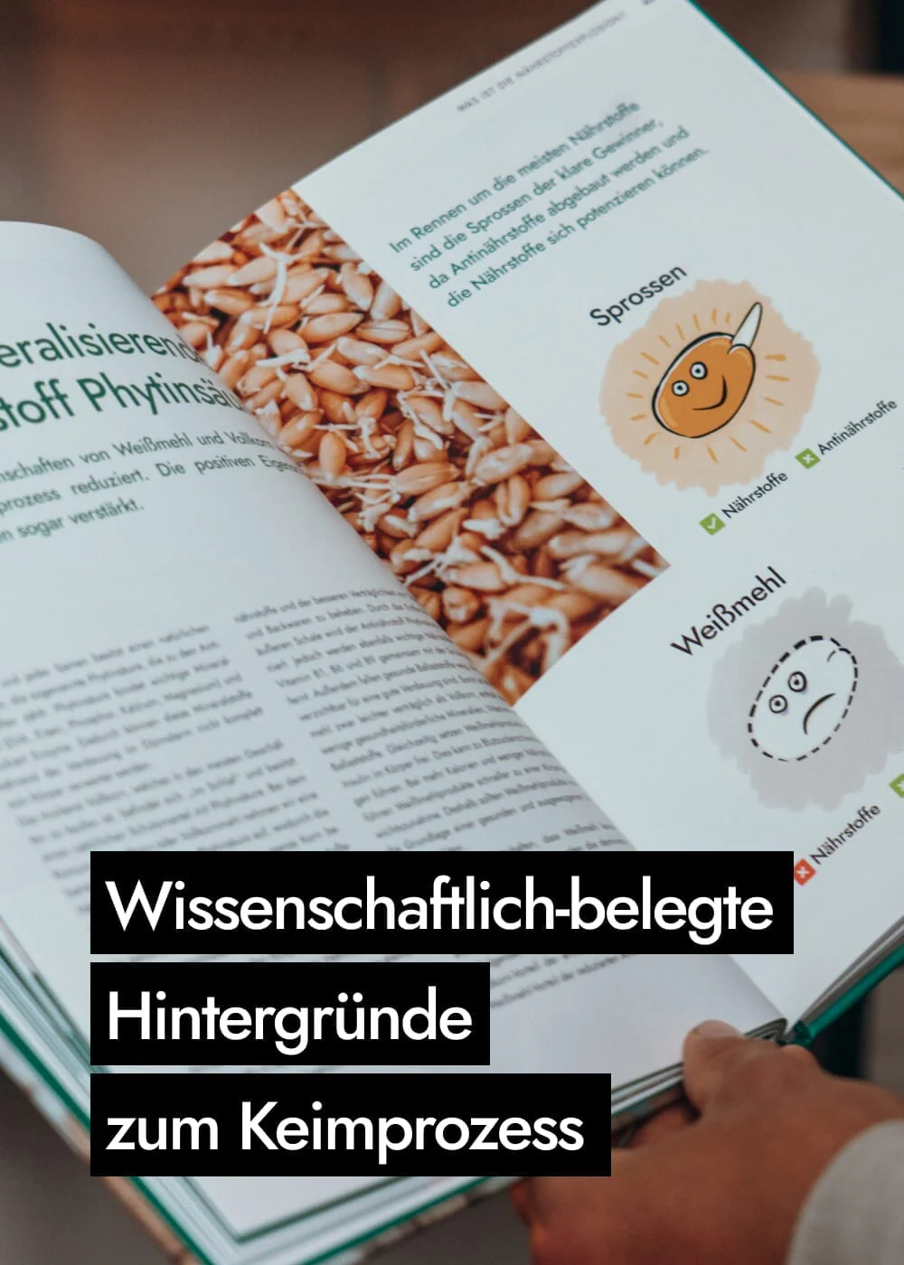Vorschaubild 8