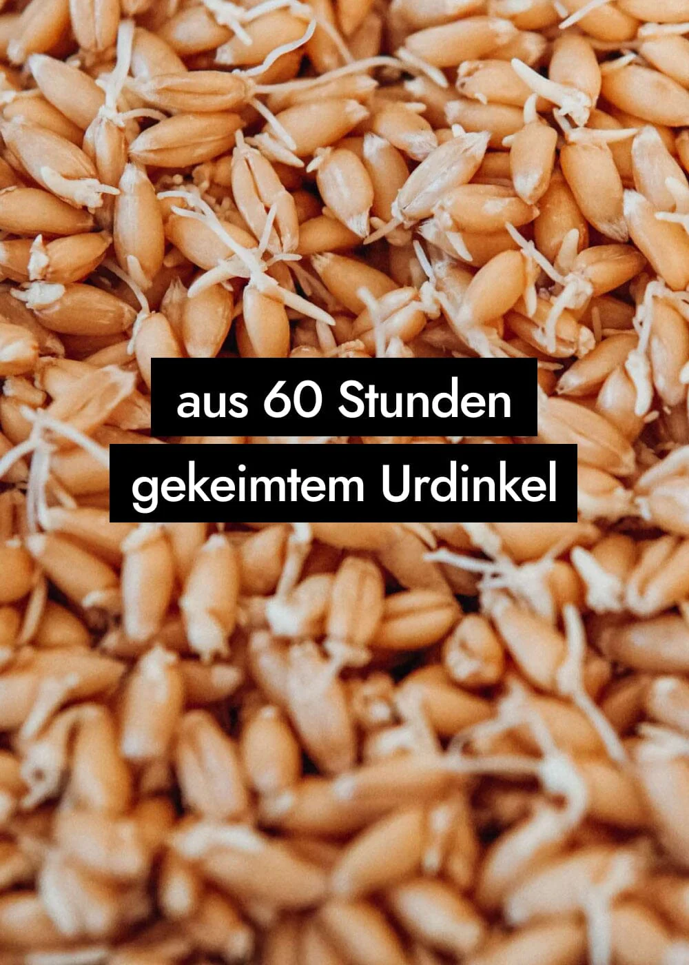 Vorschaubild 7
